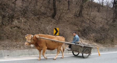 The Korean Amish?