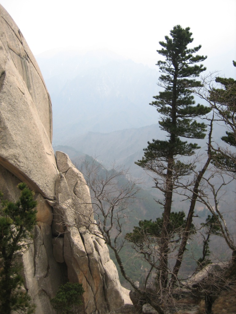 another view - trail goes between the tree and rock face