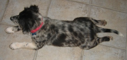 Chilli's favorite position