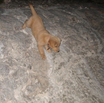 she can down-climb faster than I can!