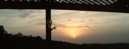 "Fighter pilots" as we call them, the humming birds
