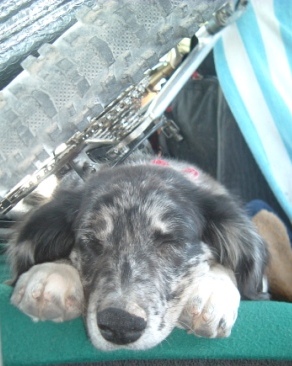 Zzzzz