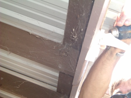 I didn't tell him about the spider stalking him until later...